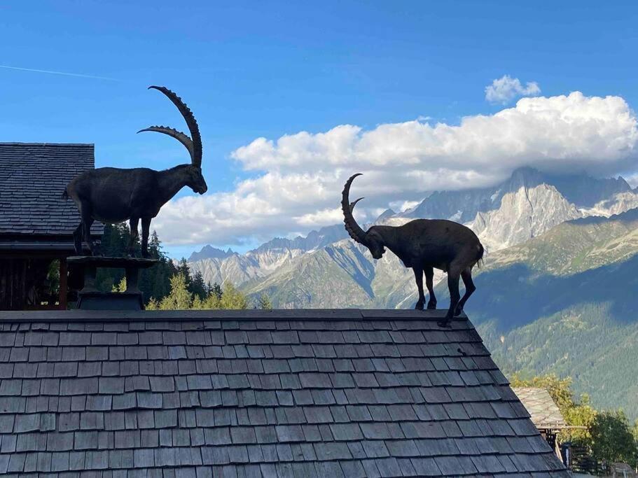 Praz Sur Arly - Proche Des Pistes Et De Megeve Apartment Exterior foto