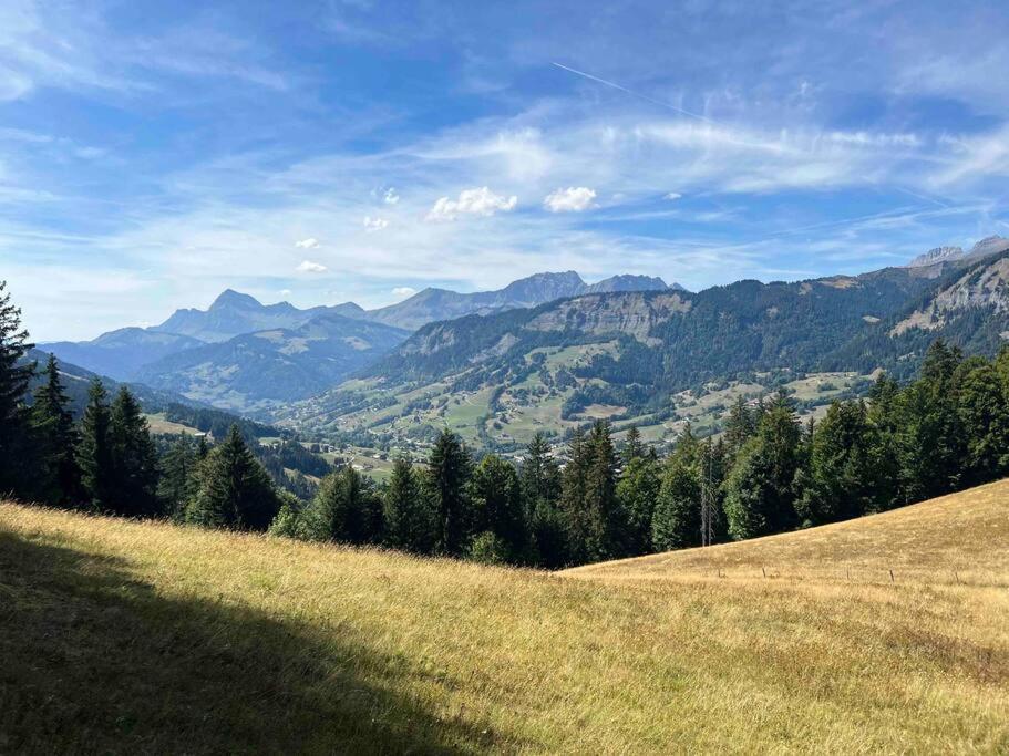 Praz Sur Arly - Proche Des Pistes Et De Megeve Apartment Exterior foto